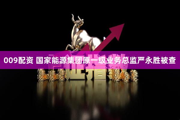 009配资 国家能源集团原一级业务总监严永胜被查