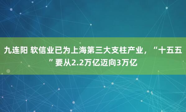 九连阳 软信业已为上海第三大支柱产业，“十五五”要从2.2万亿迈向3万亿